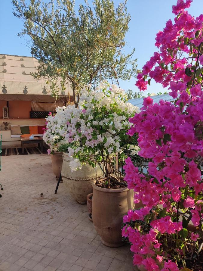 Riad Nirvana Маракеш Екстериор снимка