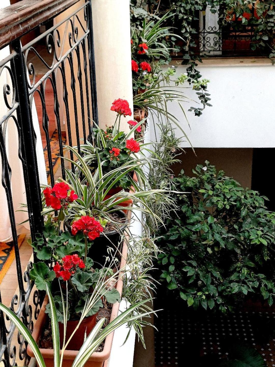 Riad Nirvana Маракеш Екстериор снимка